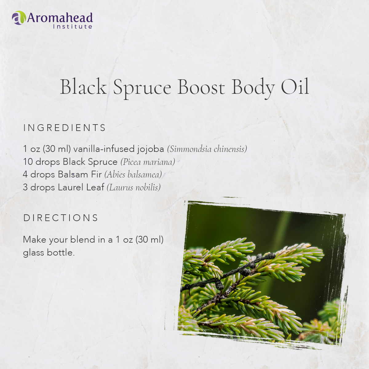 Black Spruce Boost Body Oil
