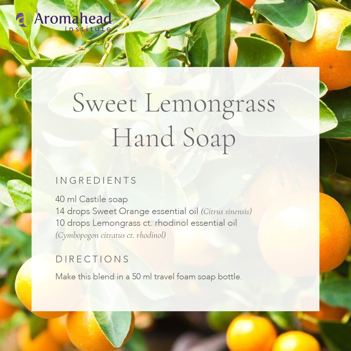 Sweet Lemongrass Hand Soap