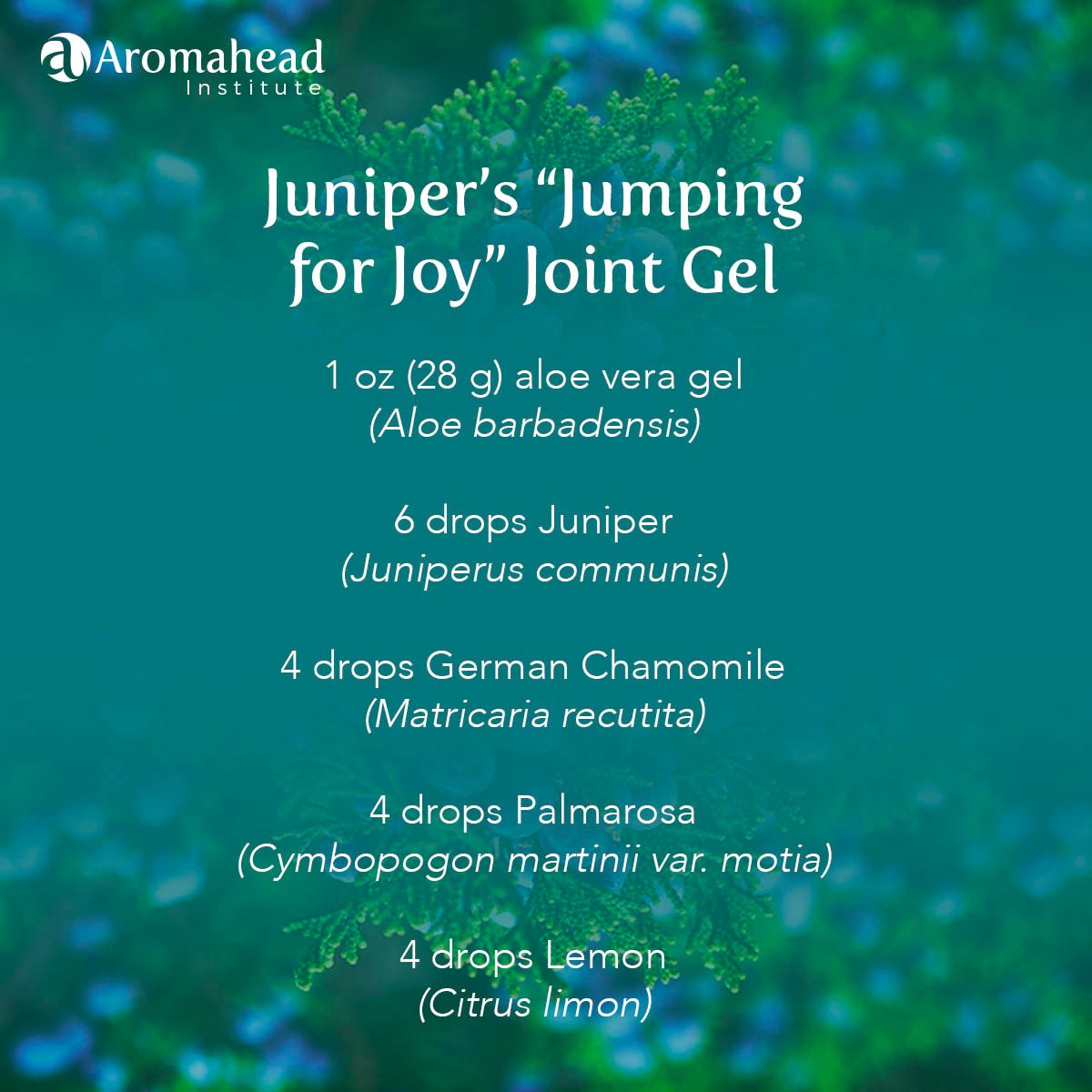 Blog- April 1 - Recipe- Junipers Jumping for Joy Joint Gel  - 600 x 600- V1