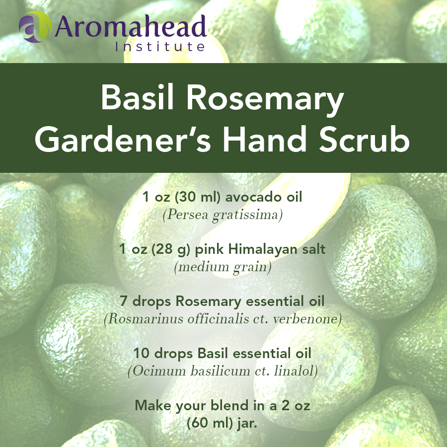 Basil rosemary gardeners hand scrub