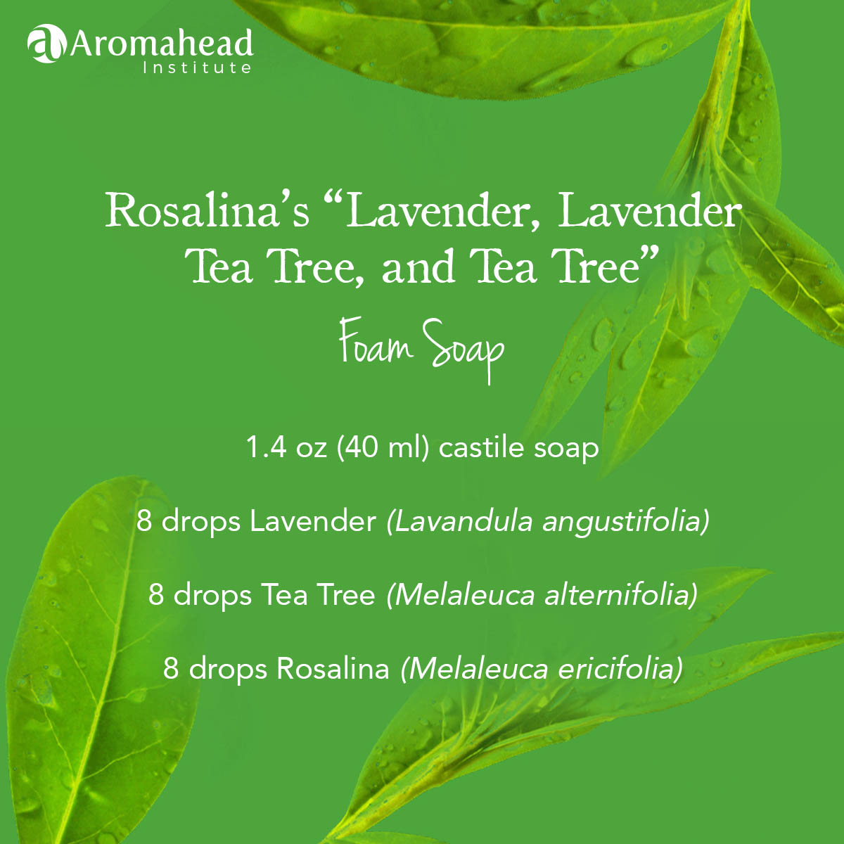 May- Blog - May 6 - recipe - Rosalinas Lavender Lavender Tea Tree Tea Tree Foam Soap- 600 x 600- V1