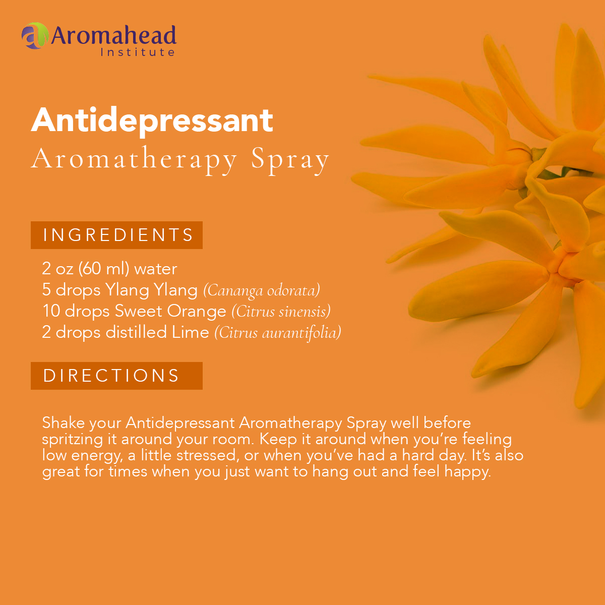 blog - dec 16- antidepressant aromatherapy spray- recipe - 600 x 600 - V1 