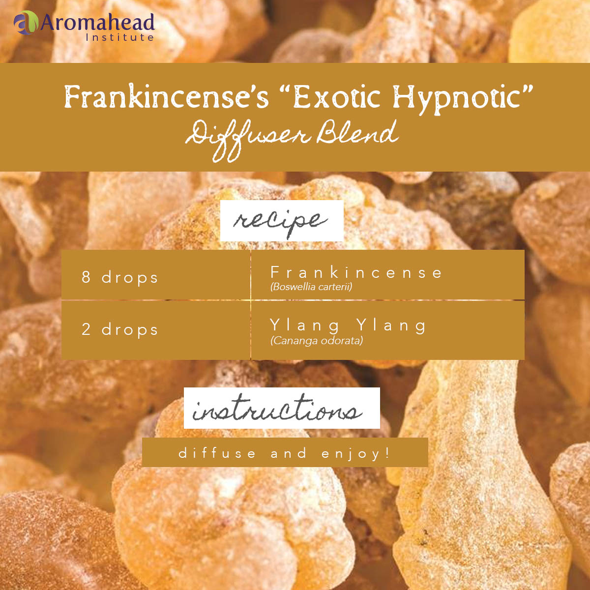 blog- sept 2- recipe - frankincense exotic hypnotic diffuser blend - 1200 x 1200- V1