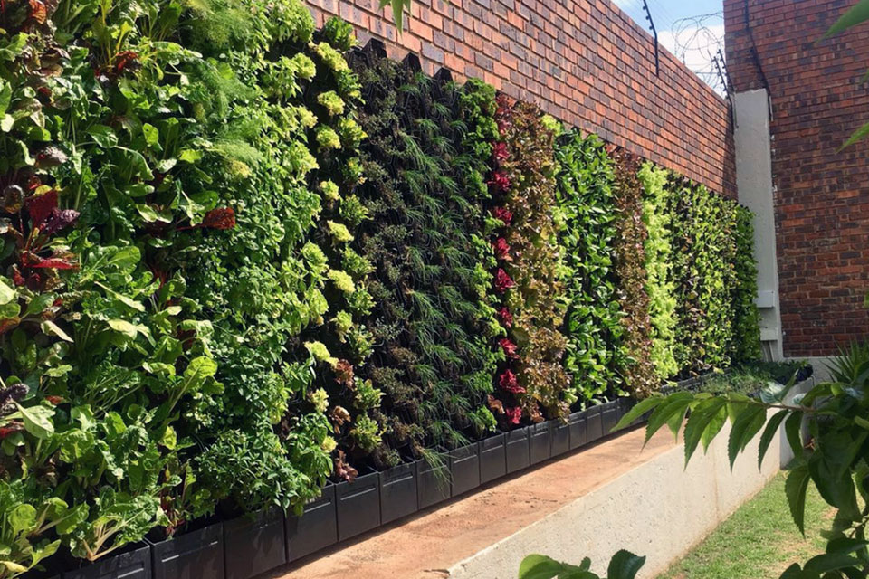 GrowUp Greenwalls | Gallery