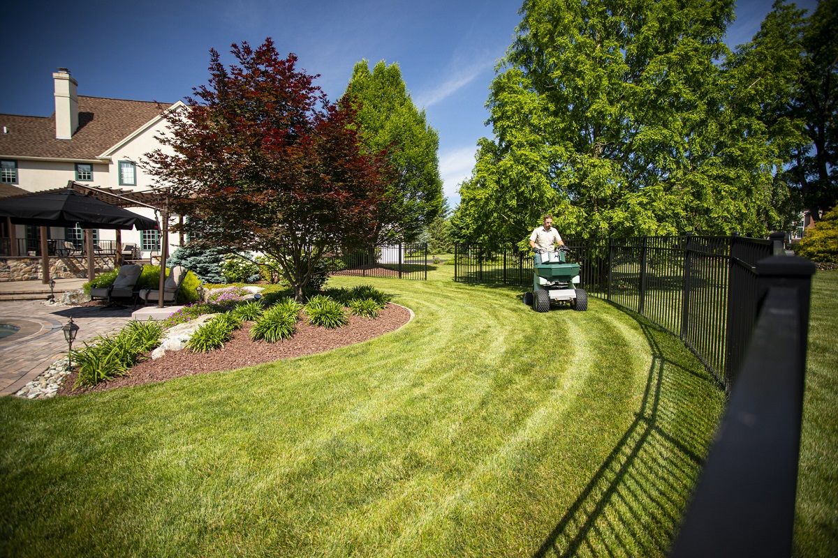 how-much-do-lawn-care-cost-how-much-does-lawn-mowing-cost-true-lawn