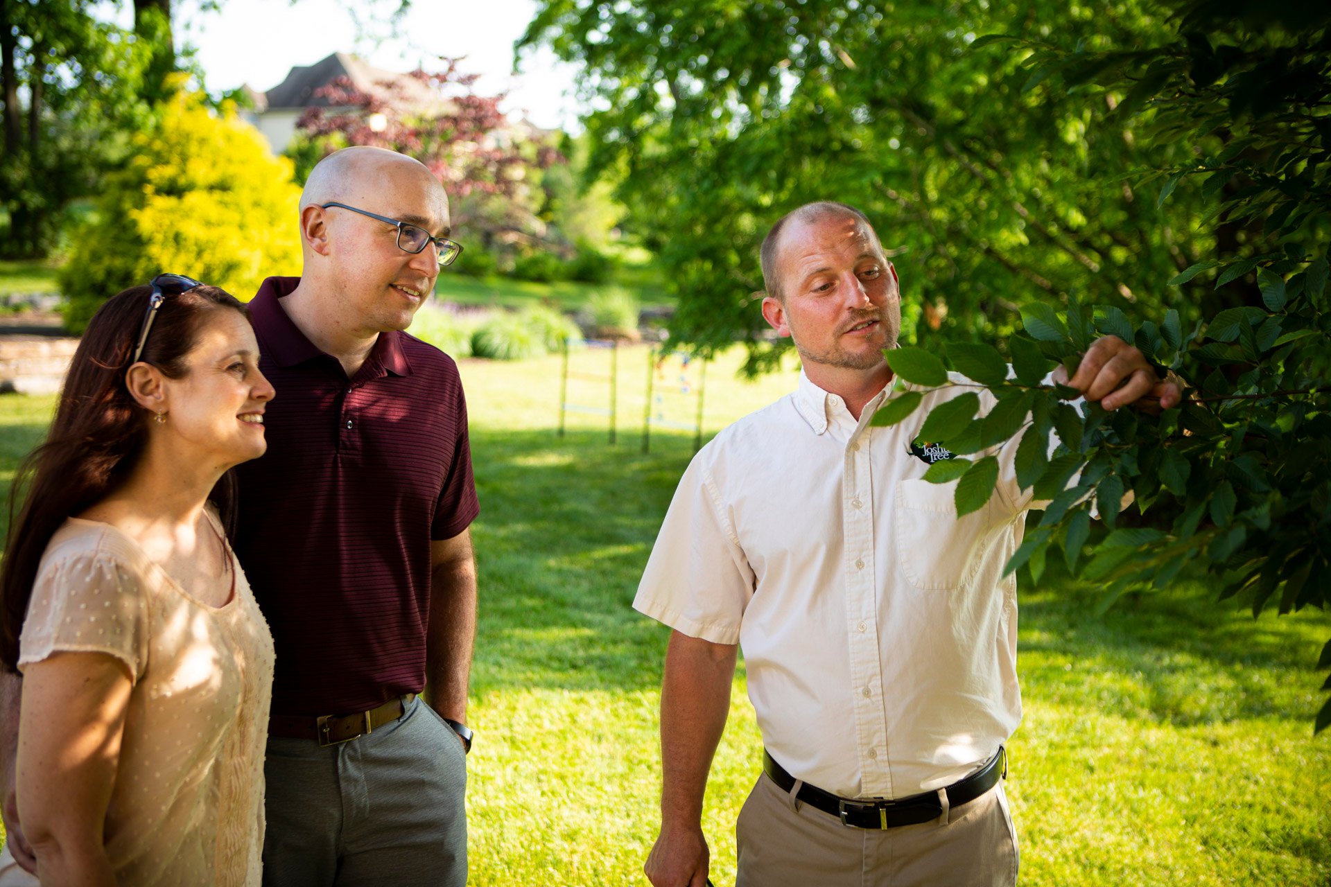 Tree Inspection: How Often, How it's Done, Cost, & More for Allentown,  Lansdale, and Collegeville, PA