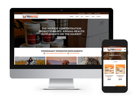FullBucket Health website displayed on desktop and mobile