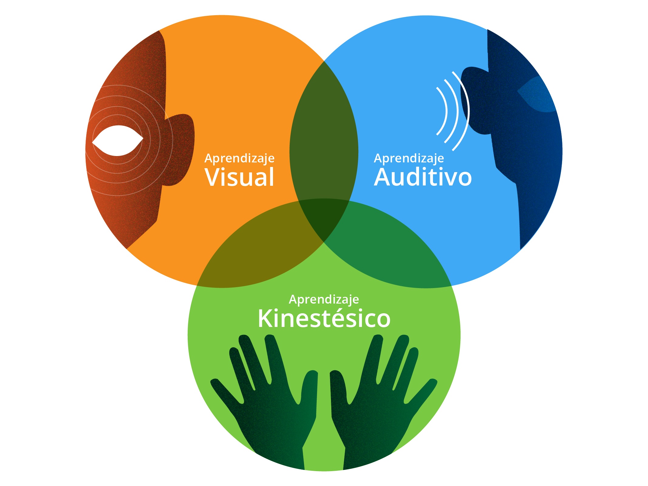 ¿qué Es El Diseño Universal Del Aprendizaje Dua