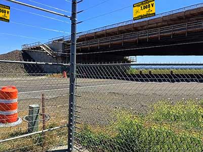 electric guard dog near me