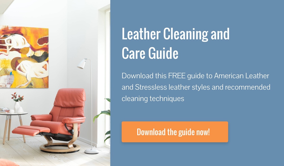 Leather Cleaning and Care Guide