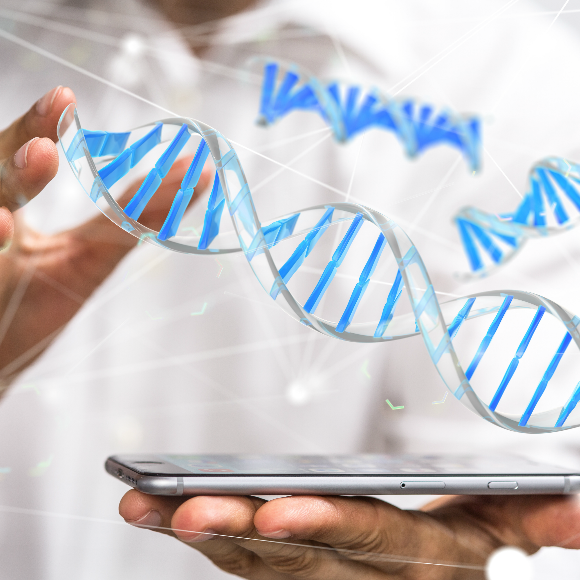 ¿Qué tenemos que buscar en las Arquitecturas Digitales de Red (DNA)?