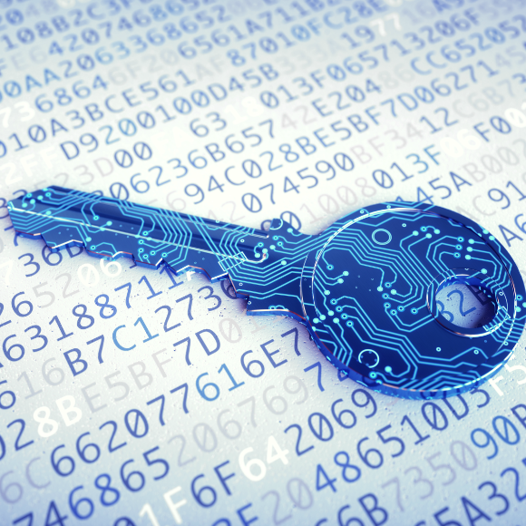 Los registros financieros son los datos que más utilizan criptografía en México.