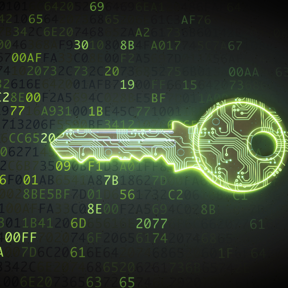 5 curiosidades sobre seguridad cibernética en las empresas de México