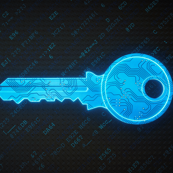 ¿Cuáles son los pros y contras del Blockchain en redes corporativas?