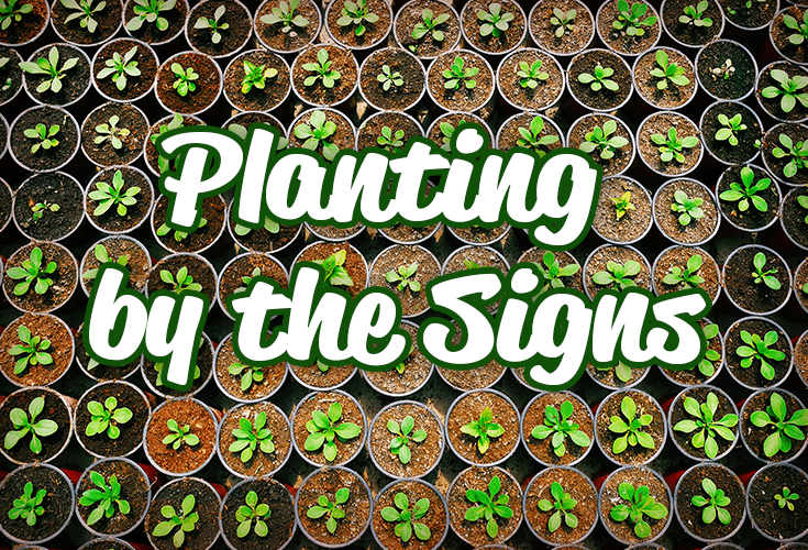 Planting by the Signs