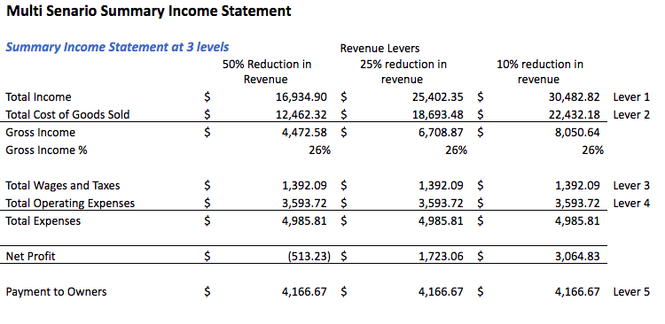 Example Multi Scenario Summary Income Statement