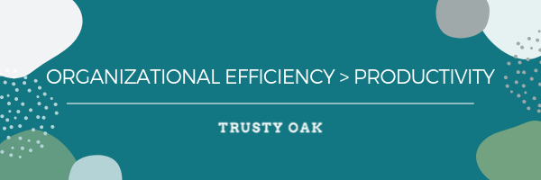 Organizational Efficiency > Productivity 