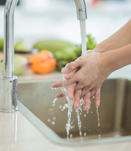 Safety Food Washing Hands Kitchen 