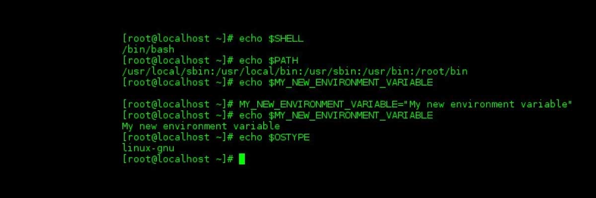 Understanding the Shellshock Vulnerability (Example)