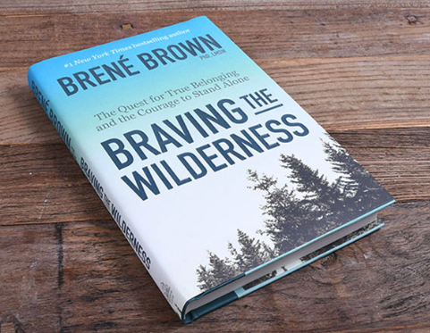 Brene brown braving the wilderness