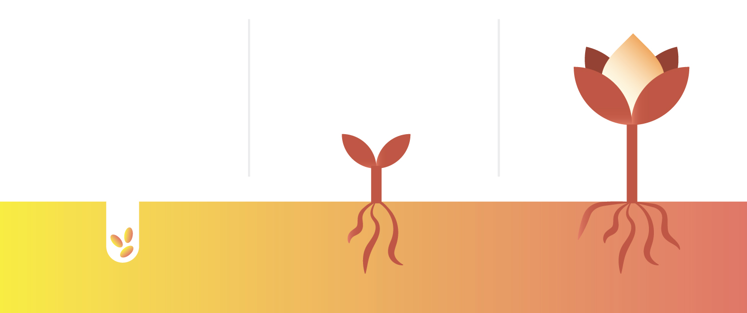 b2b inbound marketing strategy