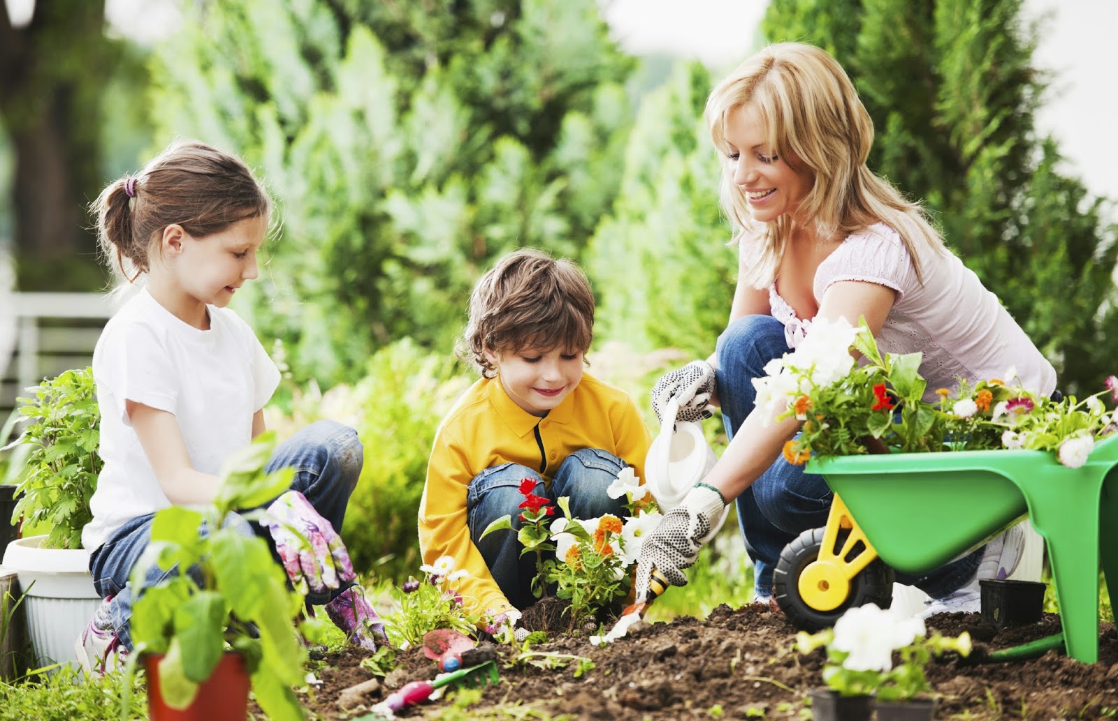 Дети вырастили цветы. Огород для детей. Семья в саду. Дети помогают родителям. Дети в саду.