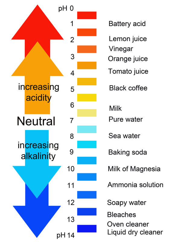 pH levels from alkaline to acidic.