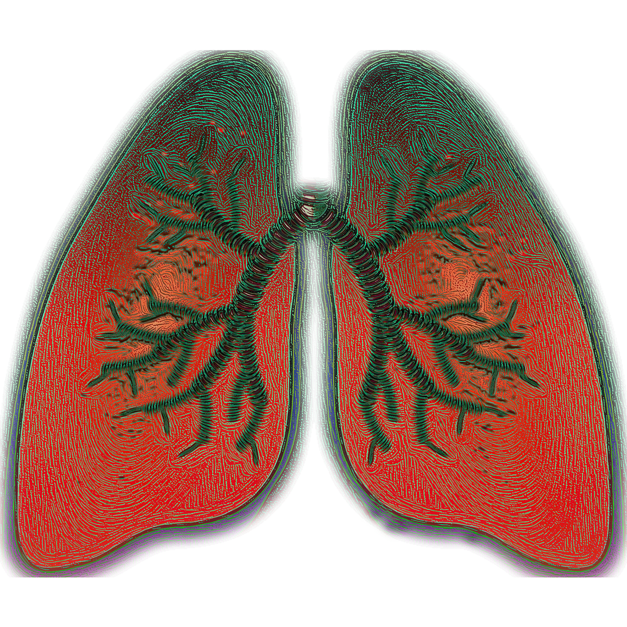 lung-4051083_1280