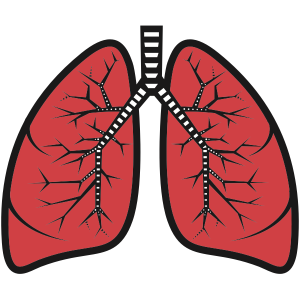 Human lungs clip art
