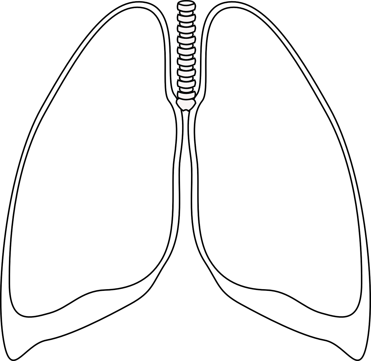 lungs-308055_1280