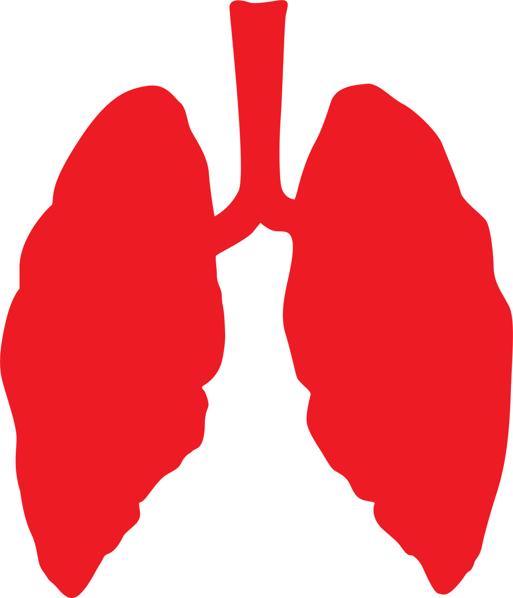 lungs-3464515_1920-1