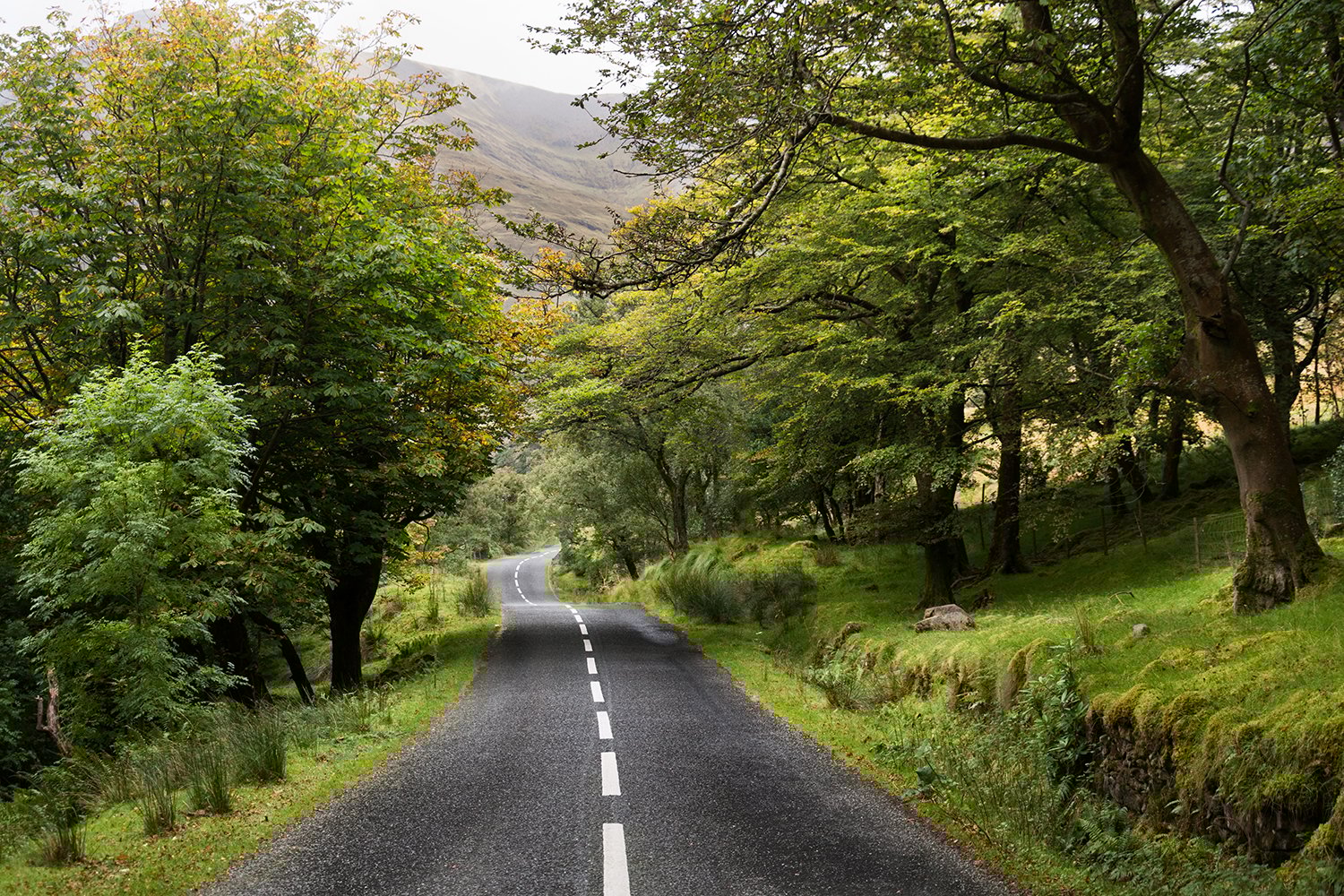 ireland drive 4 1500x1000