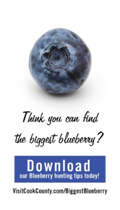 Download the Blueberry Guide Today