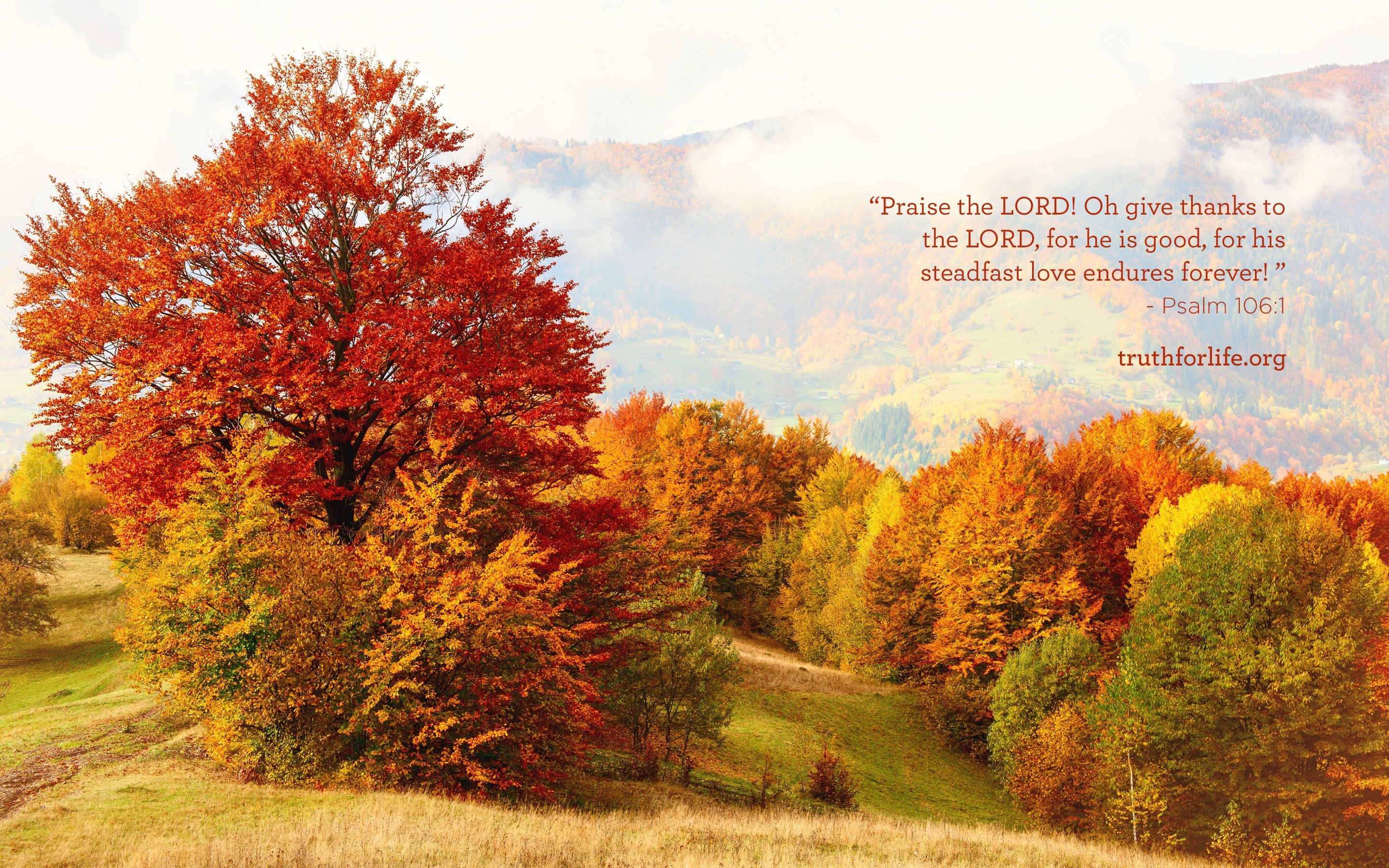 Praise the Lord : Wallpaper Praise the Lord : Wallpaper