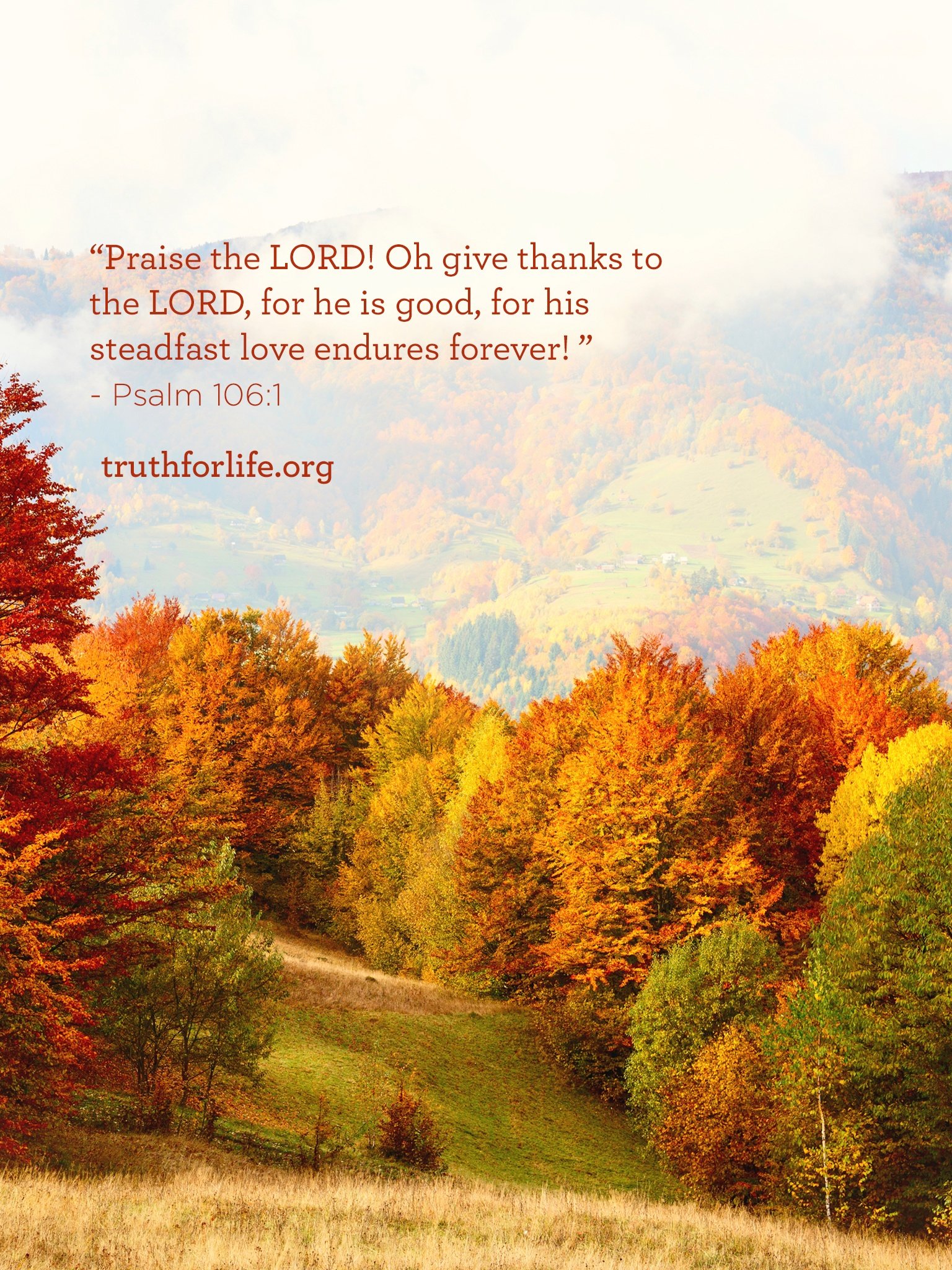 Praise the Lord : Wallpaper Praise the Lord : Wallpaper