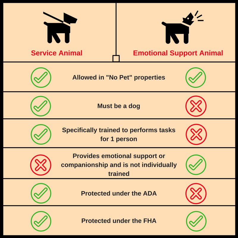 Service animal vs emotional support animal