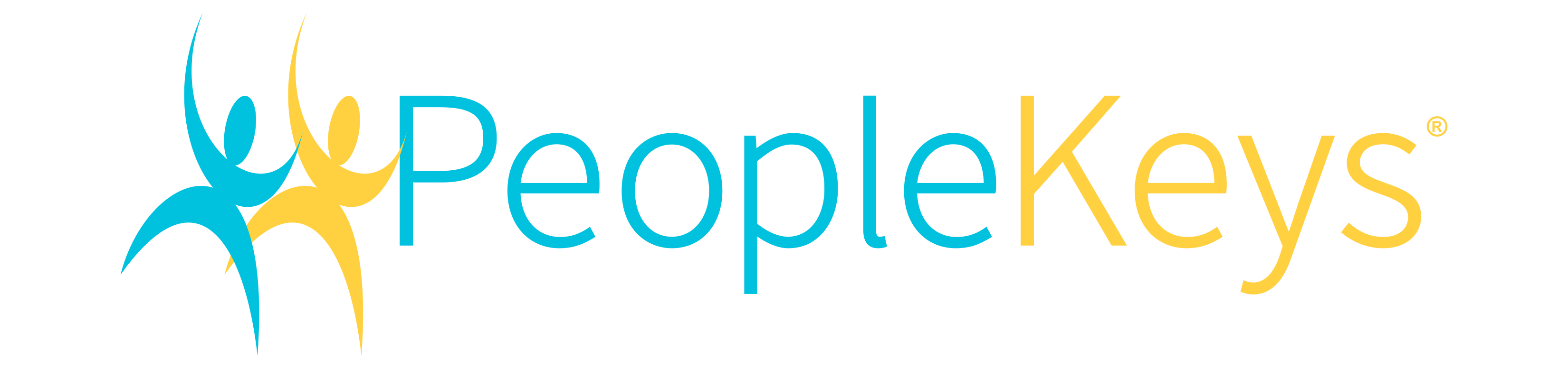 PeopleKeys, Inc. - The leading provider of online, electronic DISC profiles and assessments.