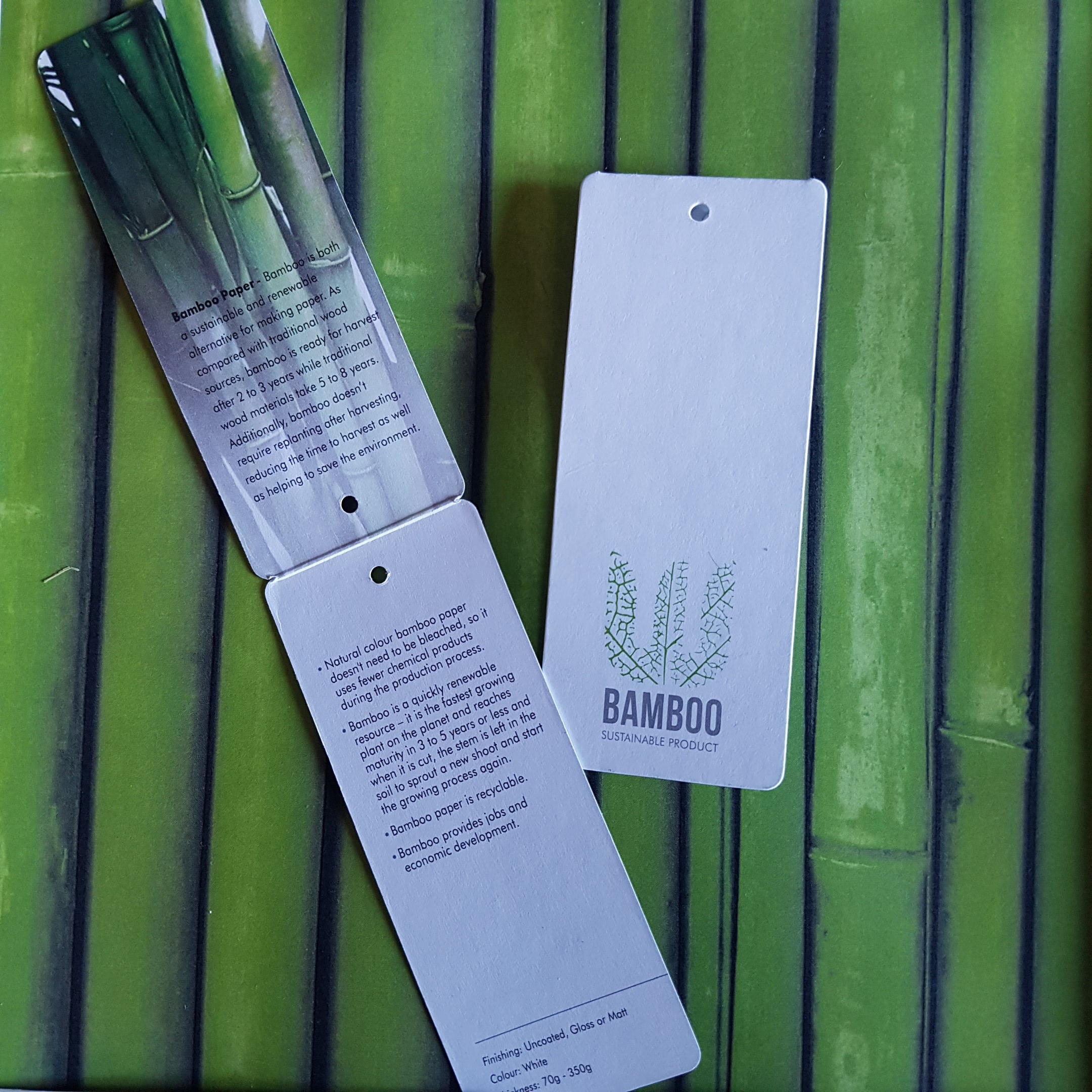 bamboo paper pro pack price