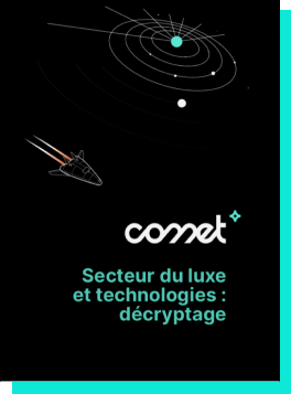 position-paper-luxury-FR-large