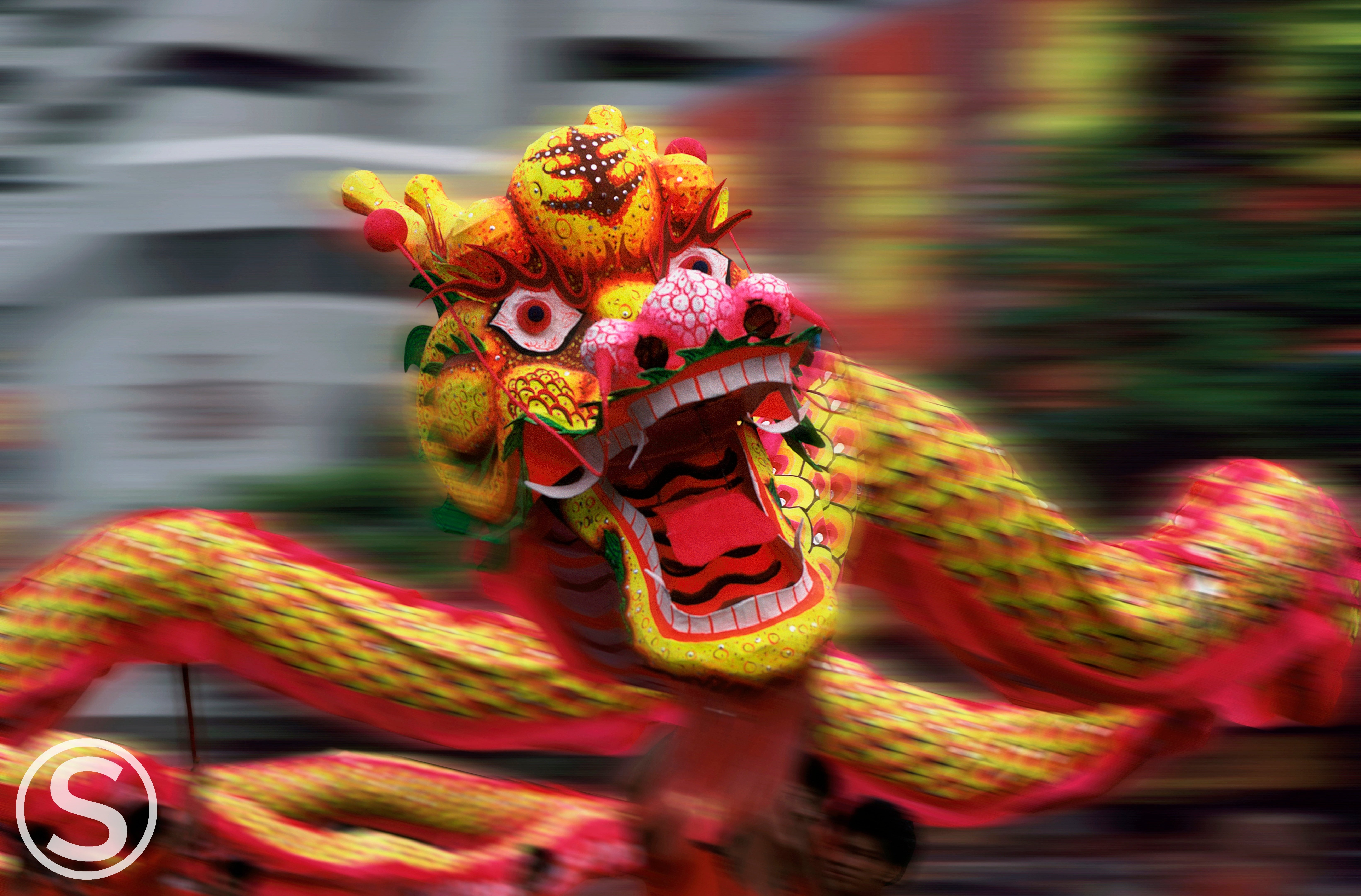 Traditional Chinese New Year Dragon Dance