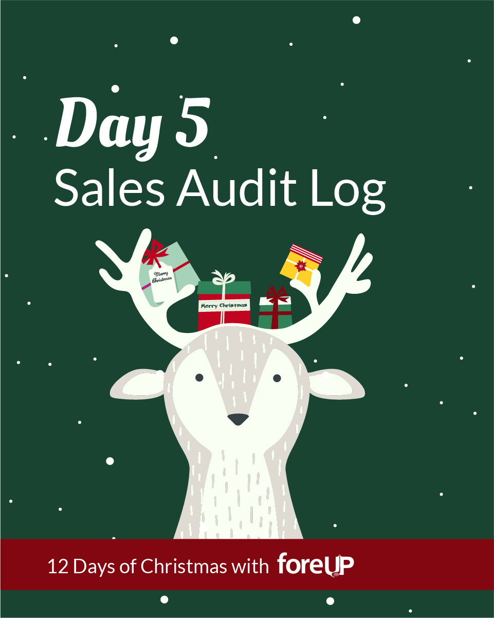 Day5_SalesAuditLog_12Days2018