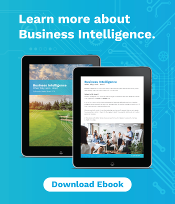 Business Intelligence ebook
