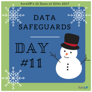 day eleven data safeguards in the software