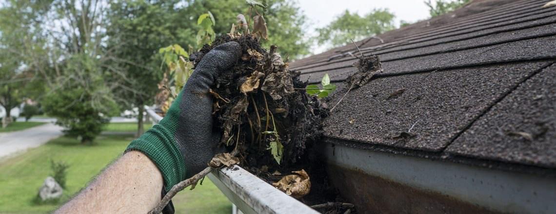 Gutter Cleaning In North Bend Wa