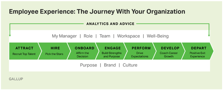 Gallup Employee Experience Chart