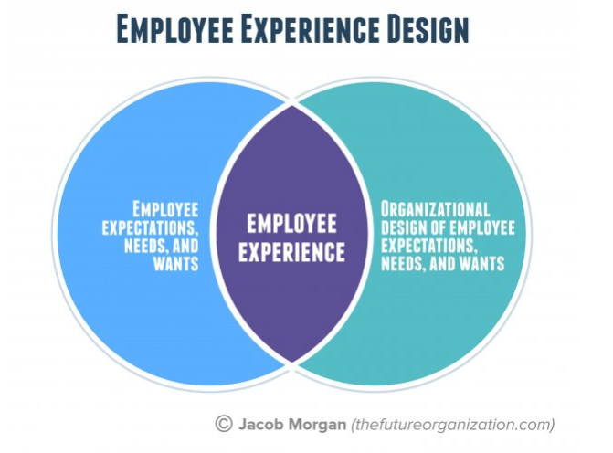 jacob morgan employee experience