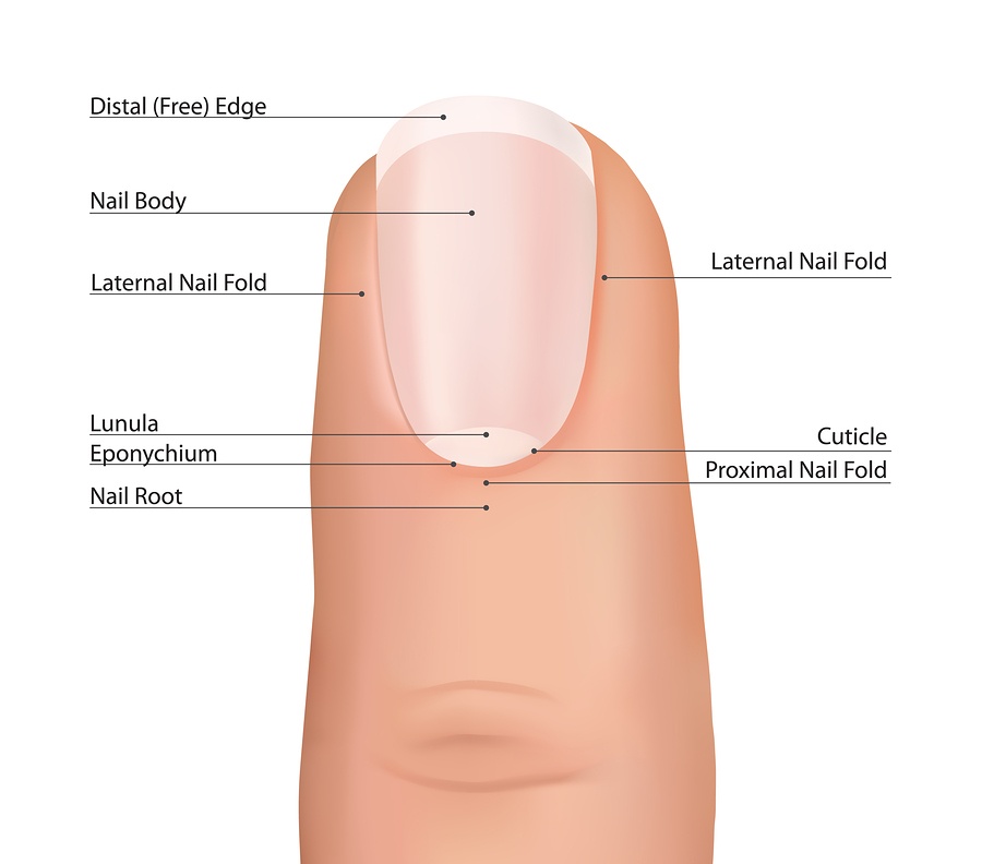 Putting Your Finger on Nail Fungus