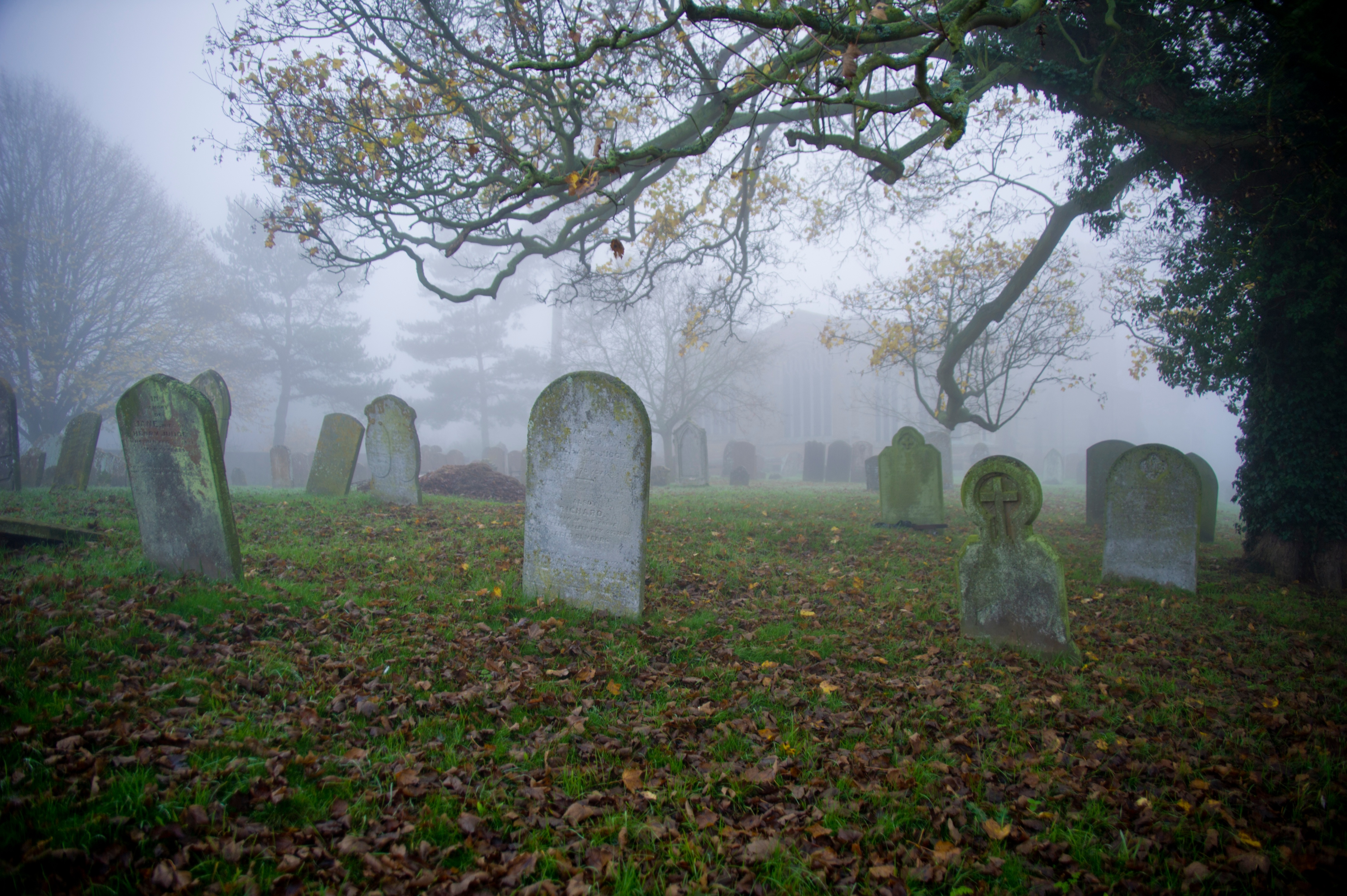 Cemetery tombstones on a foggy day, illustrating the idea that "the graveyard is full of indispensable people" in a discussion of employee engagement.