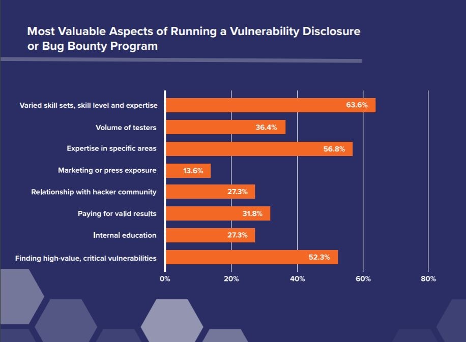 30% of CISOs Plan on Entering a Bug Bounty Program in the Next Year