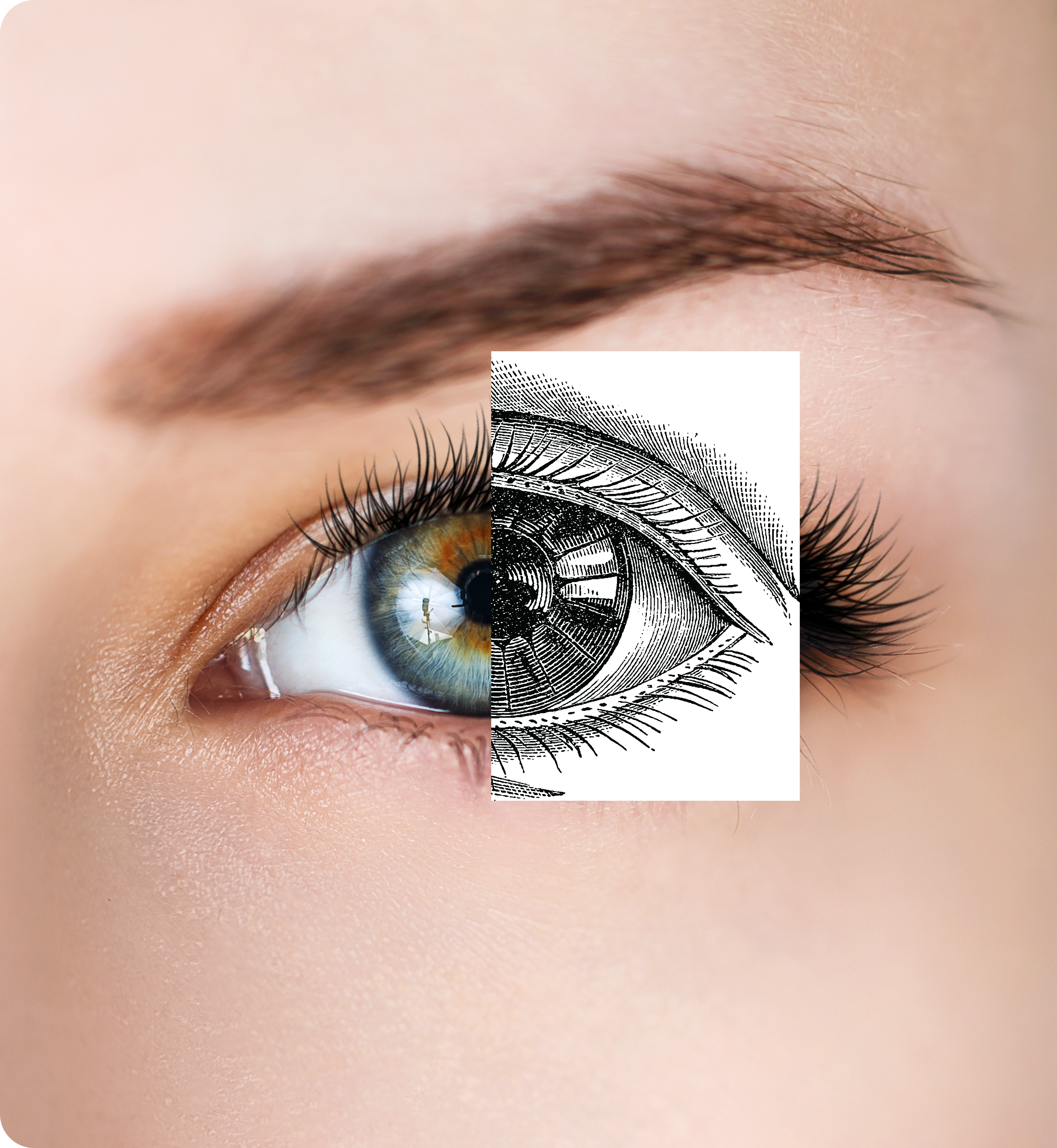 Half of an eye joined to a sketch of the eye mimicking its natural appearance.